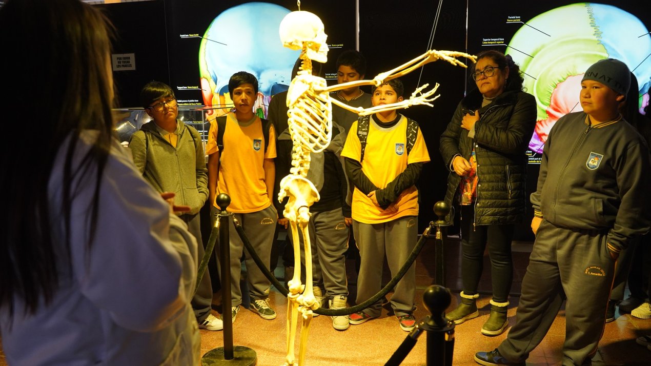 /estudiantes-de-tierra-amarilla-vivieron-experiencia-educativa-en-exposicion