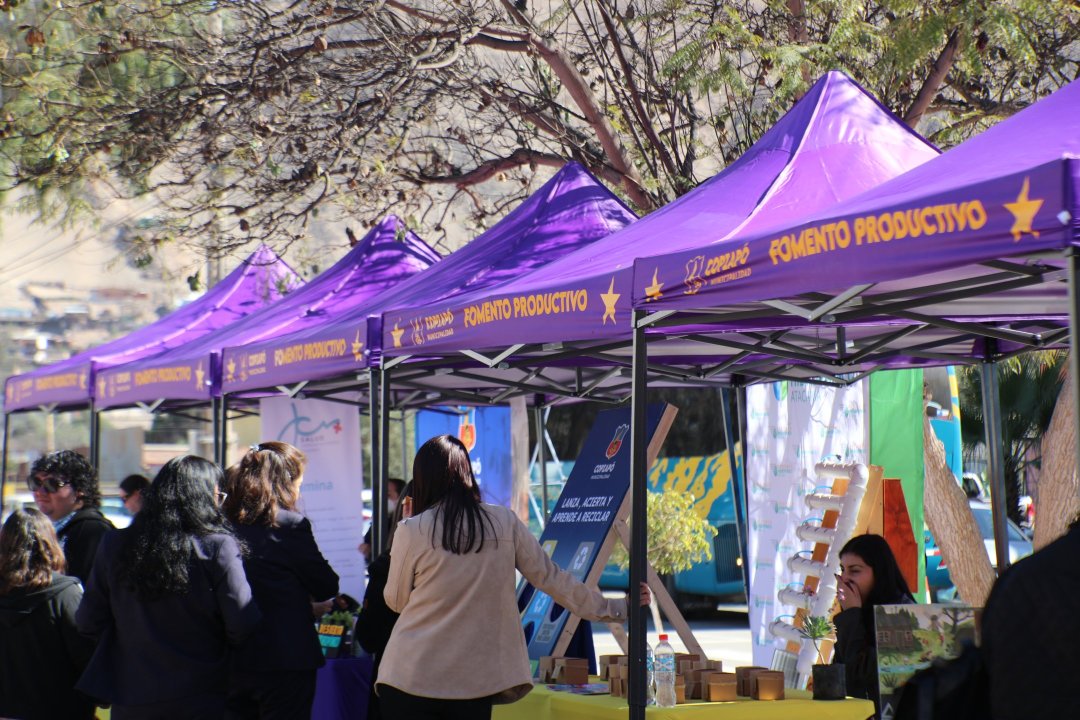 /una-feria-de-miedo-llega-a-copiapo-con-mas-de-50-emprendedores