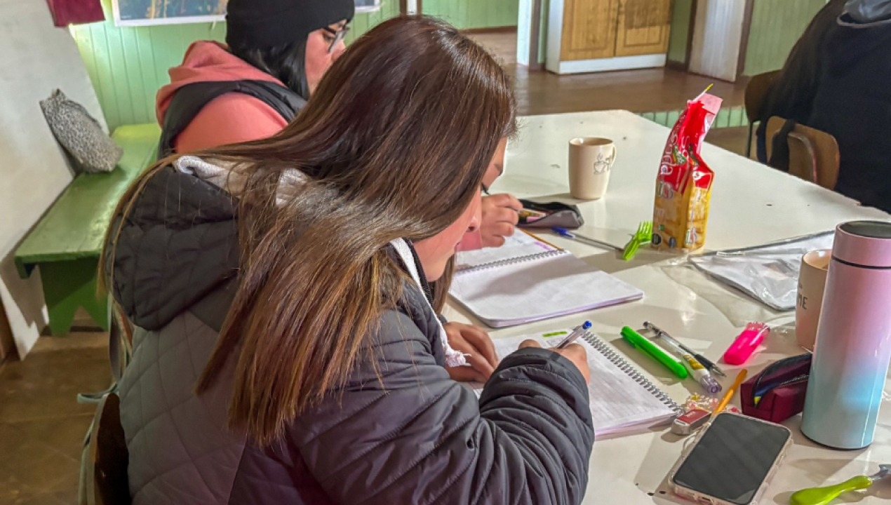 /vecinos-y-vecinas-de-quillaitun-se-capacitan-en-carpinteria-a-traves-de