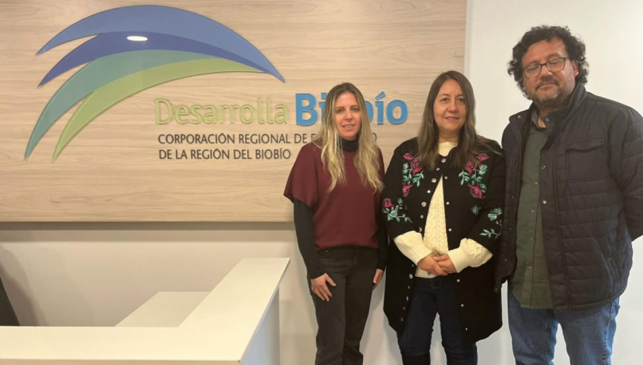 /directoras-de-cine-lebu-y-desarrolla-biobio-abordan-desafios-de-las