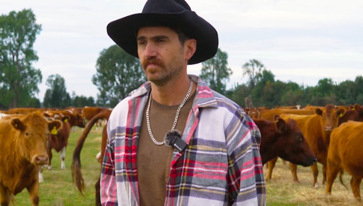 /el-reinal-carne-regenerativa-grass-fed-sur-chile