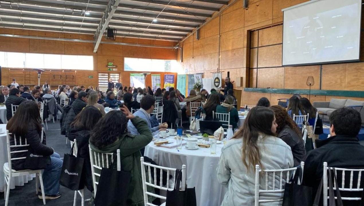 /seminario-transformacion-educativa-colegio-puerto-varas-2026
