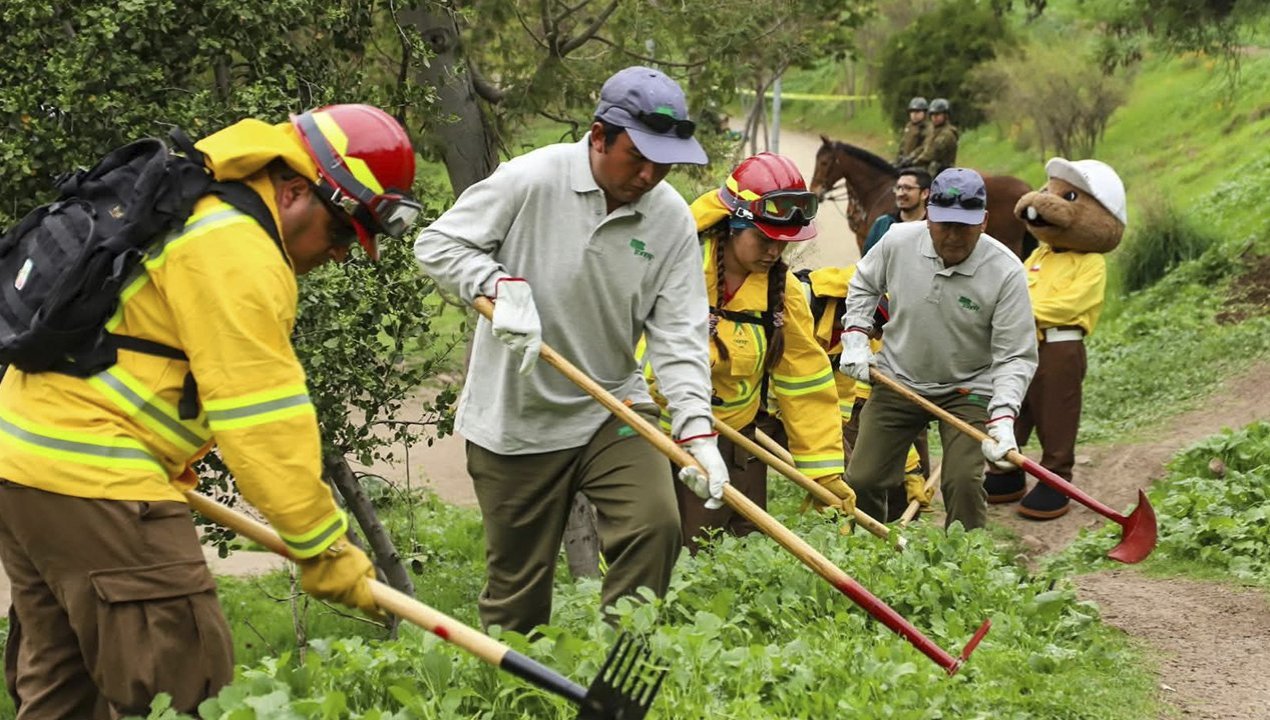 /abren-postulaciones-para-120-cupos-de-empleo-en-prevencion-de-incendios