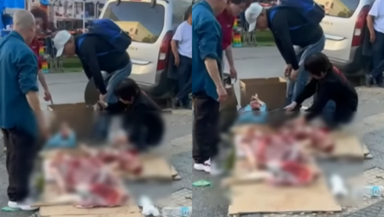 /actualidad/impacto-en-estacion-central-mujer-fue-grabada-faenando-un-animal-en-plena