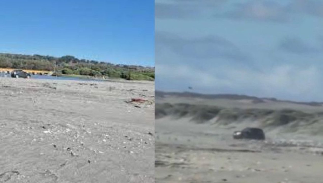 /regionales/region-de-valparaiso/conductor-irrumpe-en-humedal-protegido-de-quintero-arrasando-con-zona-de