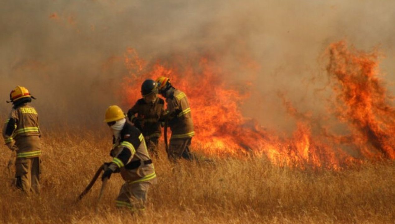 /actualidad/incendios-forestales-mantienen-alertas-rojas-mientras-se-pronostican