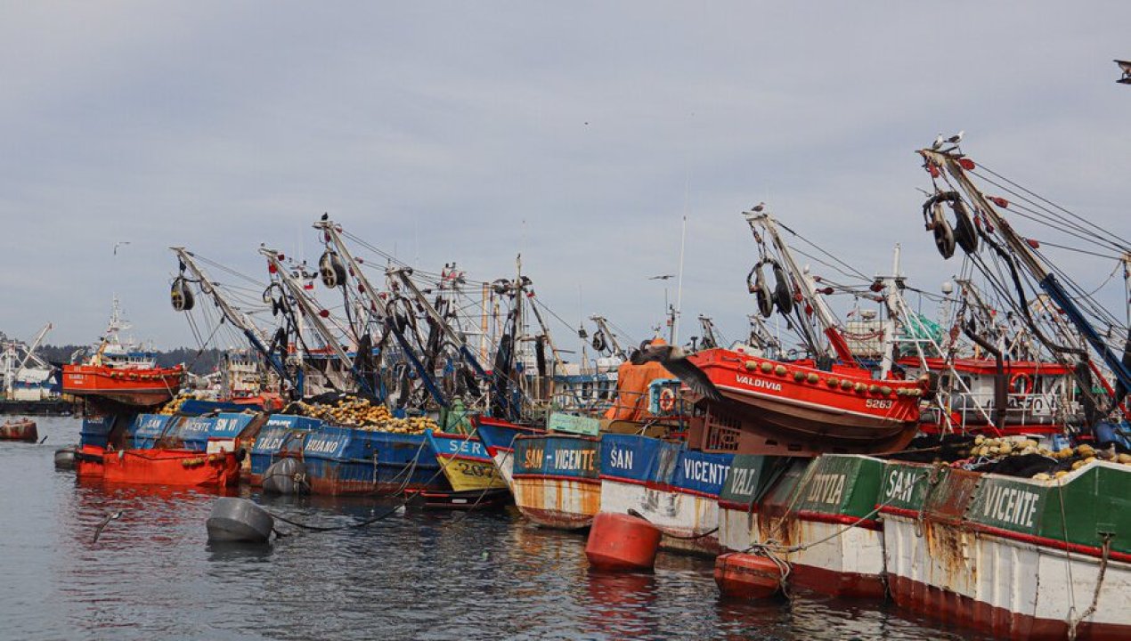 /actualidad/bono-de-apoyo-para-la-pesca-artesanal-por-alza-de-combustibles