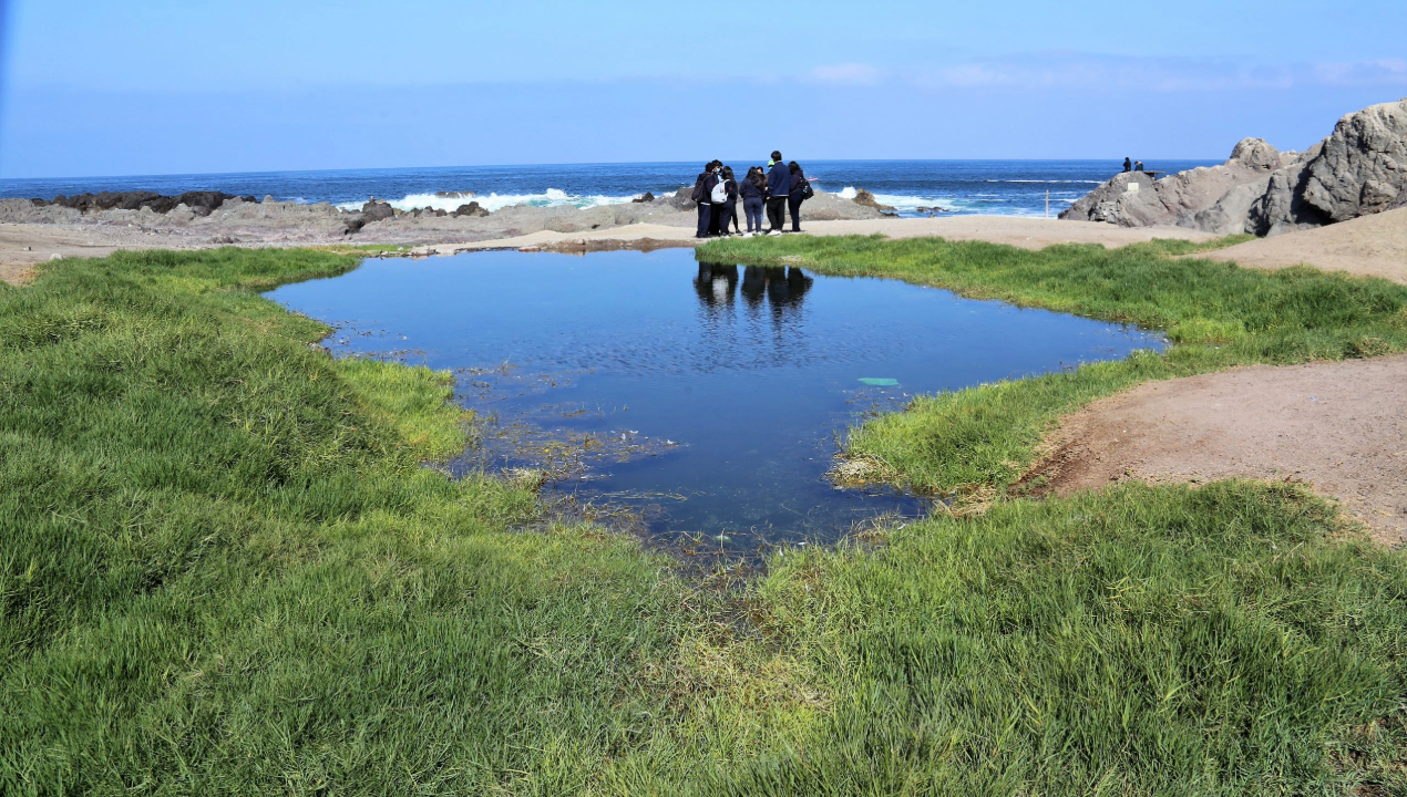 /investigacion-de-la-ua-revela-contaminacion-por-arsenico-plomo-y-mercurio